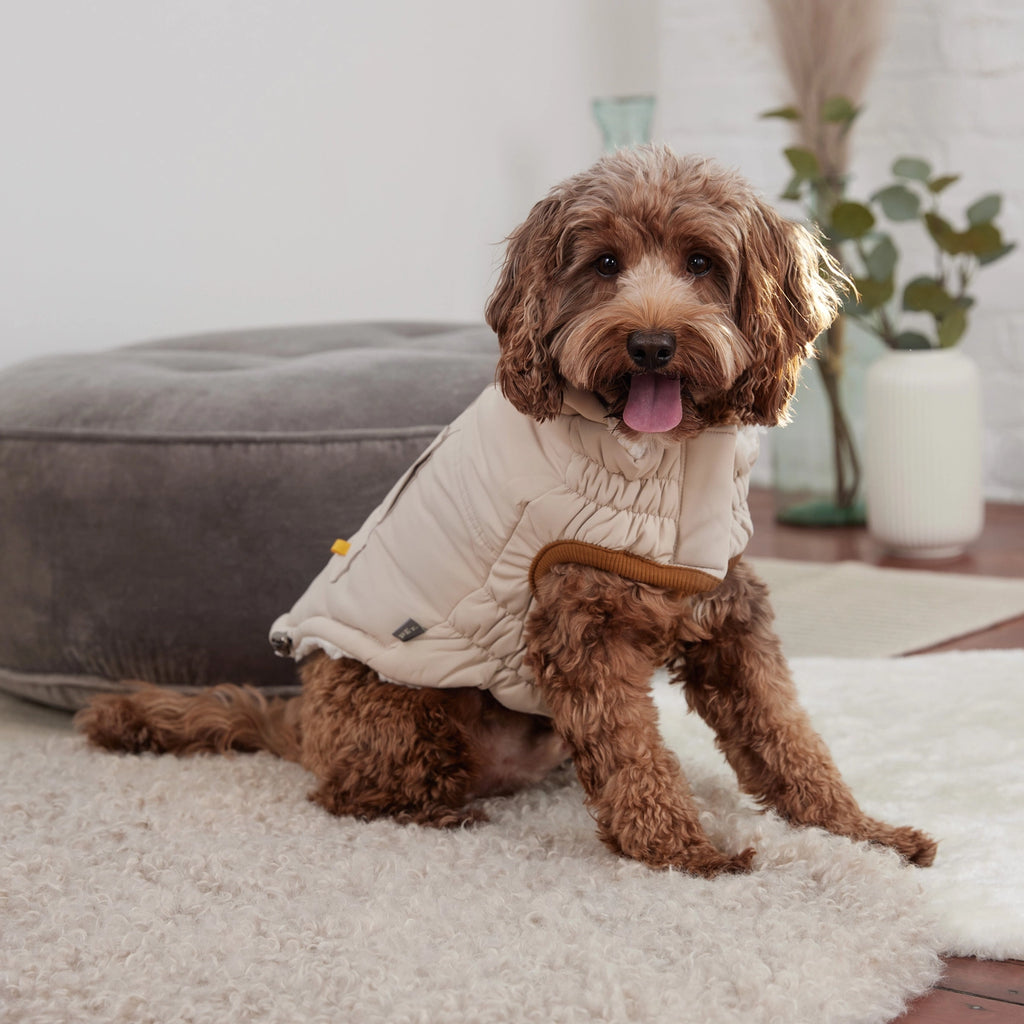 GF Pet Arctic Parka - Sand