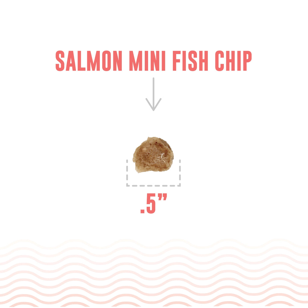 Icelandic+ Mini Salmon Chips 2.5oz
