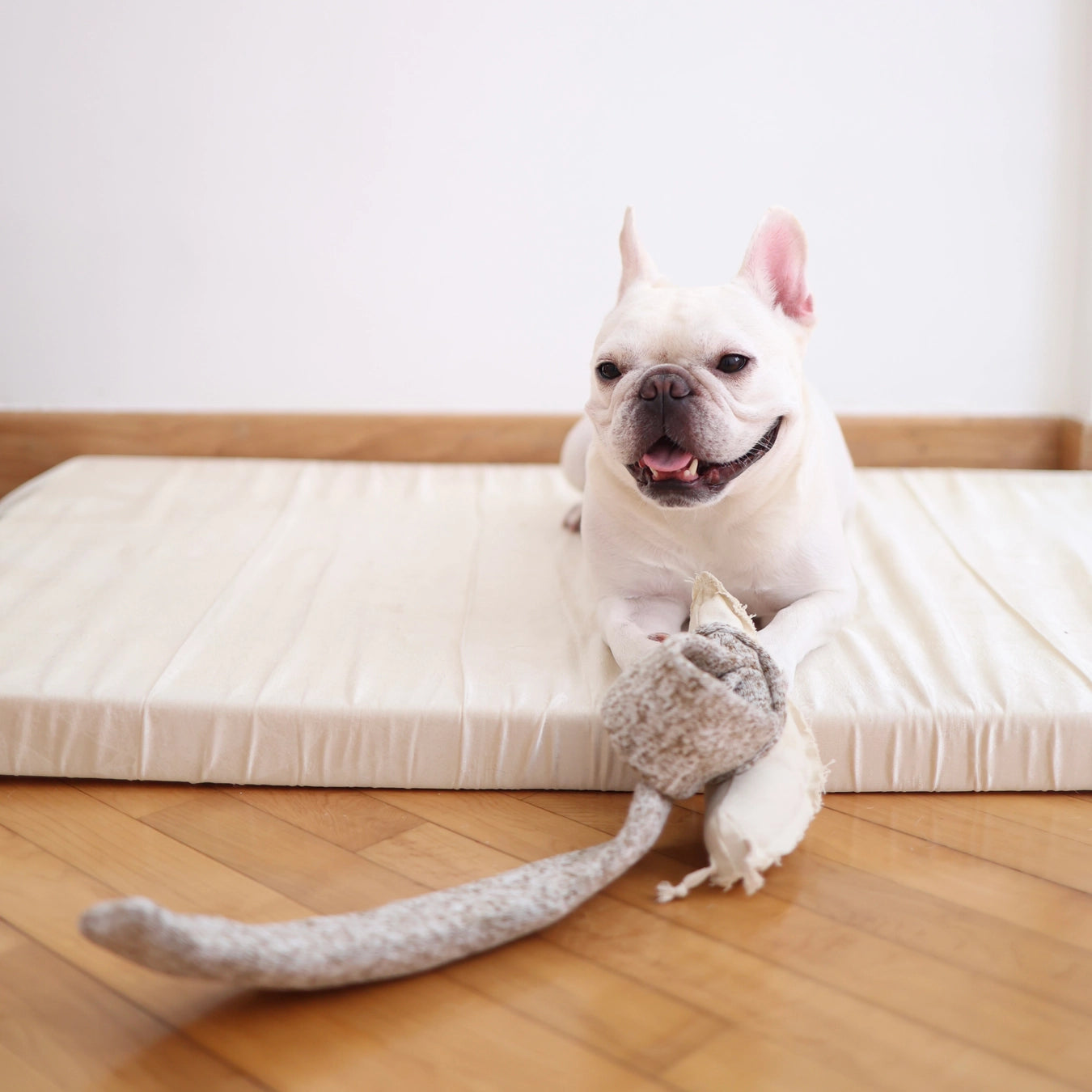 Lambwolf Collective Snail Enrichment Toy
