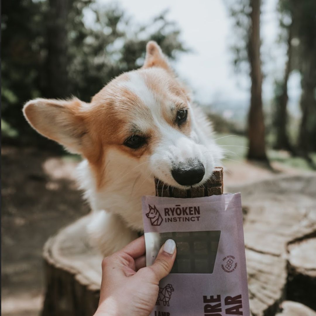 Ryōken Instinct Lamb Treat & Snack Bar For Active Dogs - Energy & Recovery