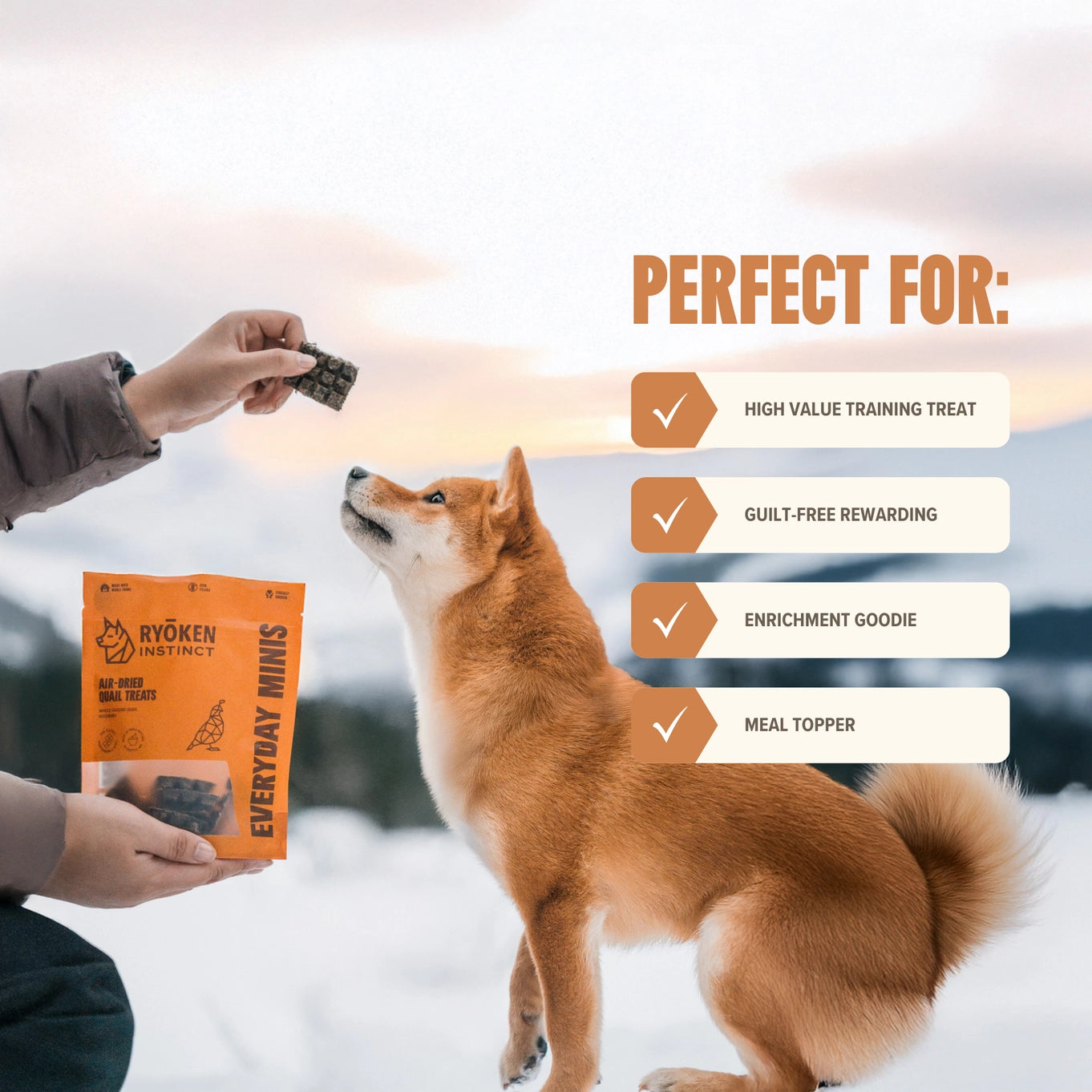 Ryōken Instinct Quail Mini Training Treats For Dogs
