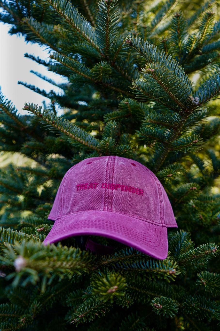 Wild N Fresh Treat Dispenser Embroidered Cap