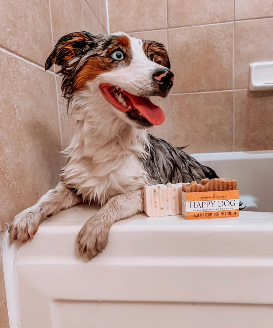 Cordoba Farms Happy Dog Allergy Relief Shampoo