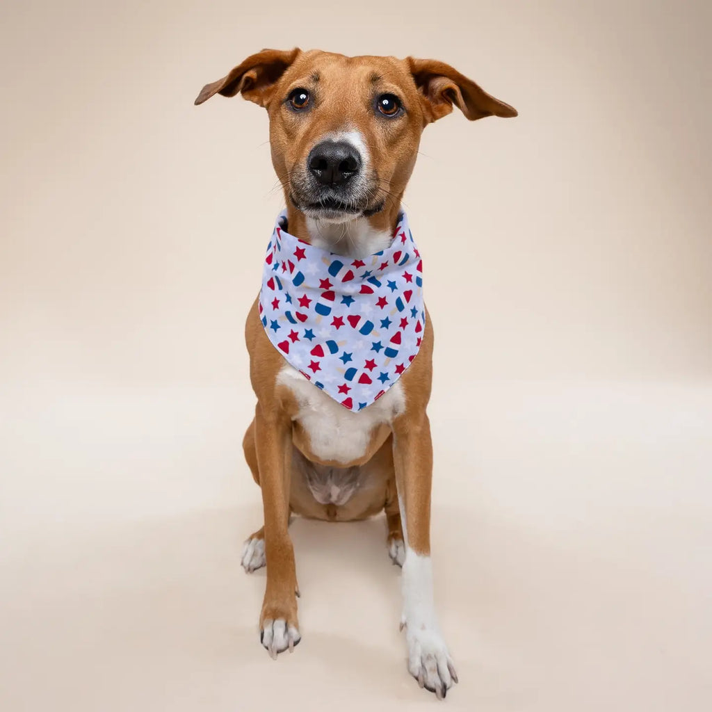 Four Paws Annex Pop 4th of July Dog Bandana