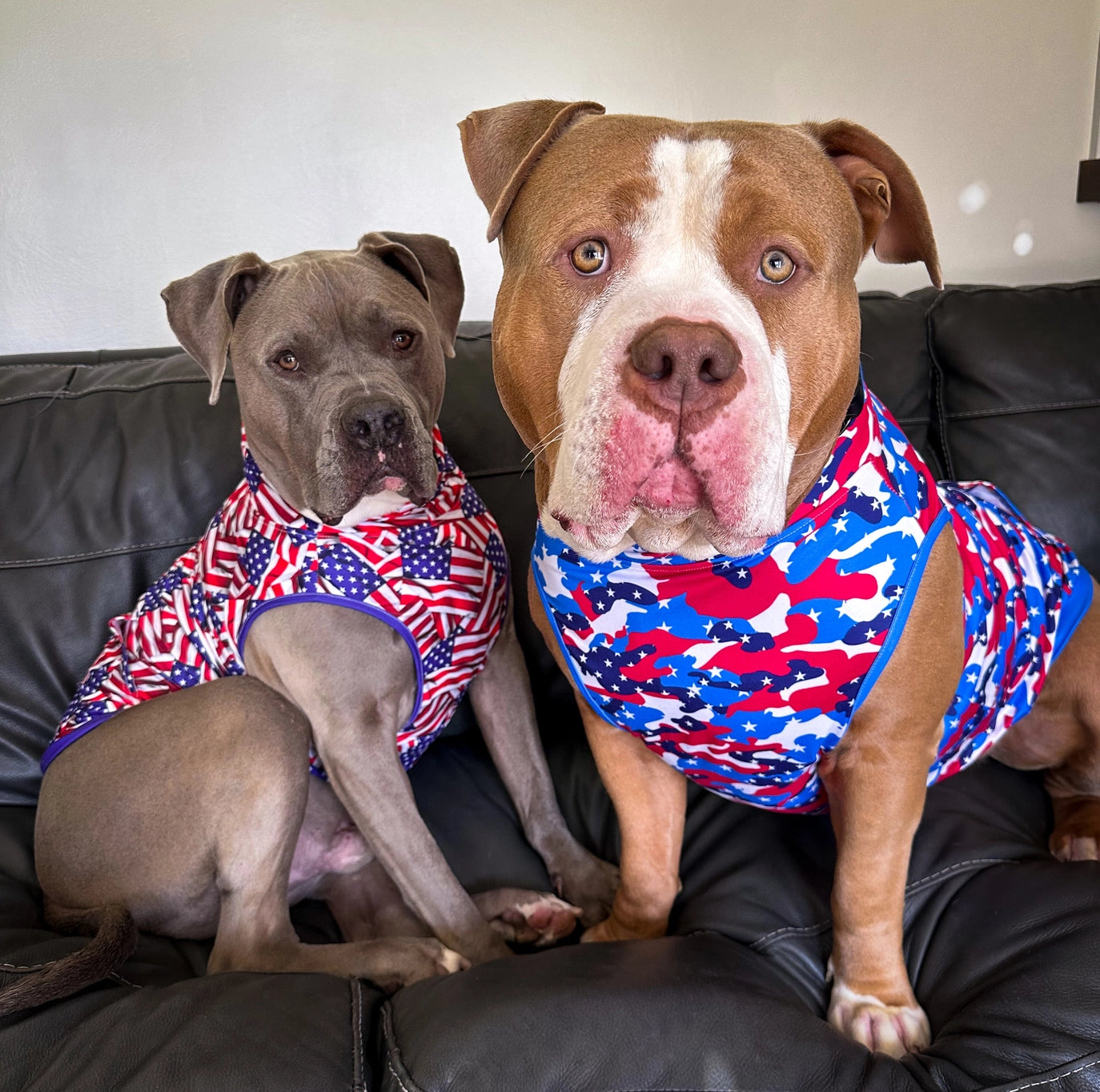 Pittie Clothing Co. Pawtriotic Camo Muscle Tee