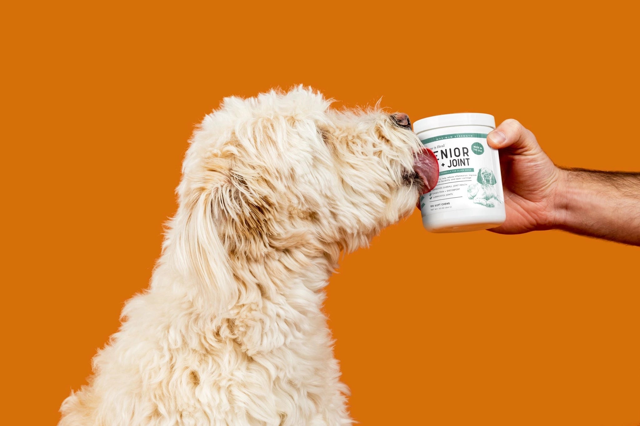 Senior Hip & Joint Supplement