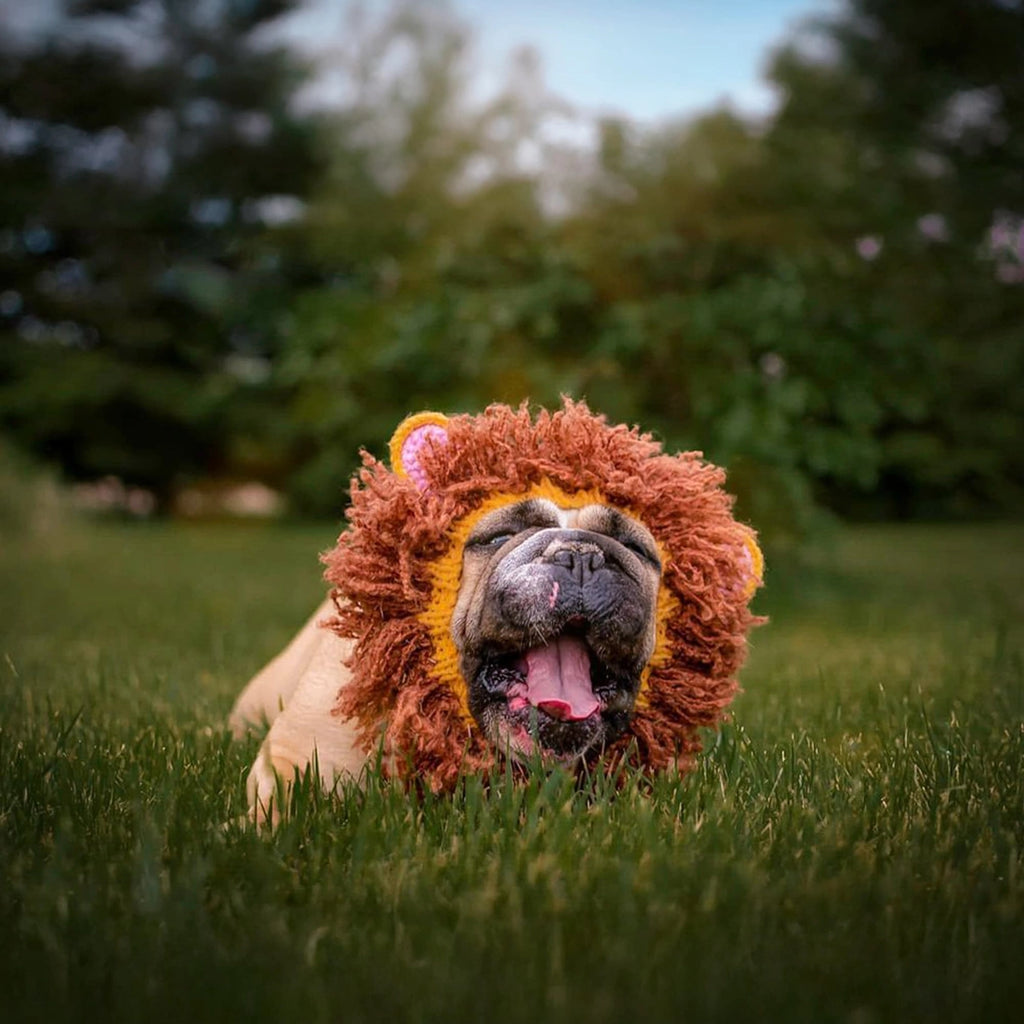 Lion Snood
