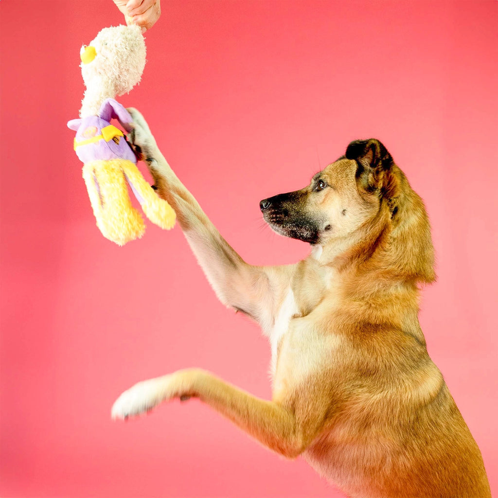 The Furry Folks Ostrikraken Nosework Toy