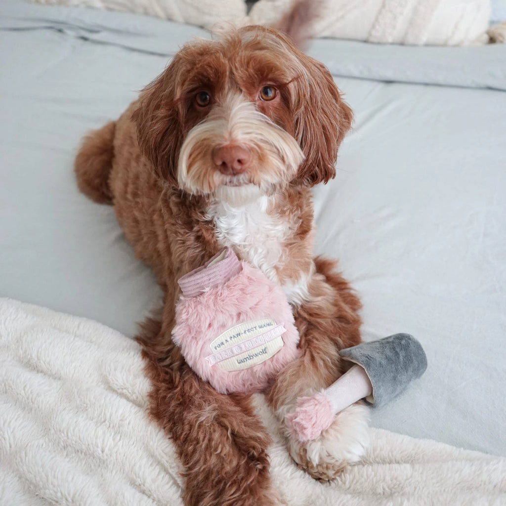 Lambwolf Collective - Nail Polish Enrichment Dog Toy