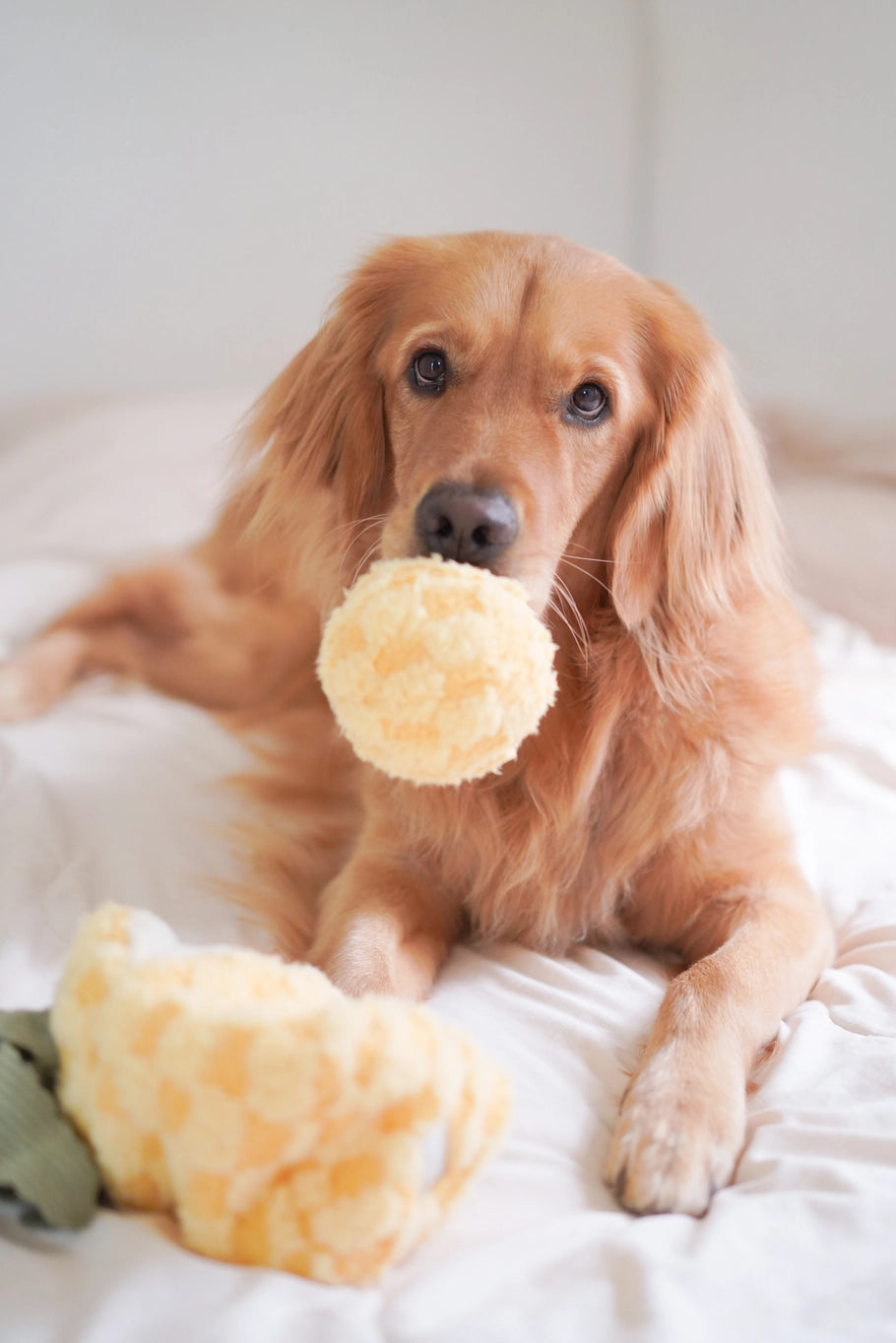 Lambwolf Collective Pineapple Enrichment Dog Toy