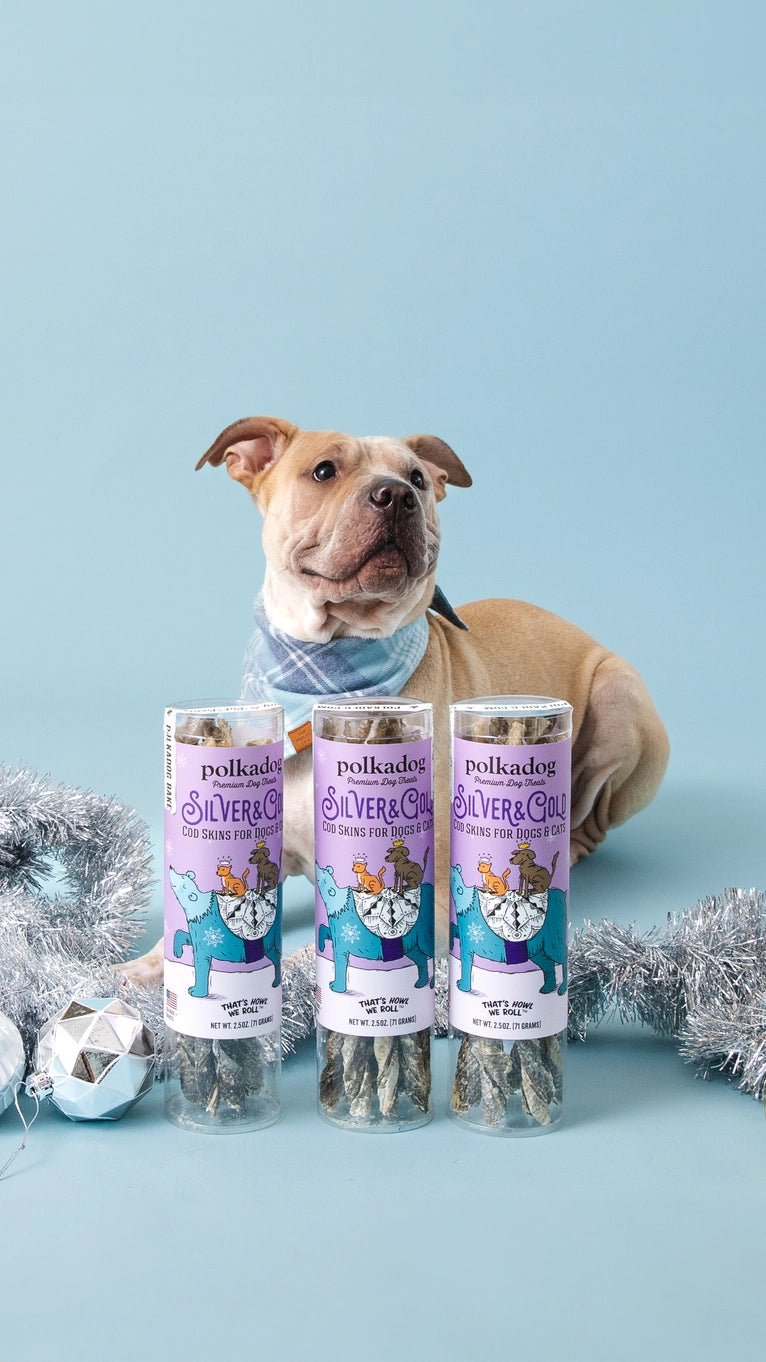 Polka Dog Holiday Tube: Silver & Gold Cod Skin