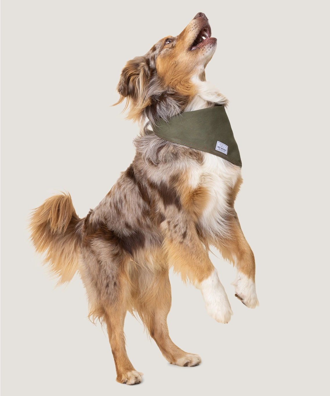 Wolf Republic Hunter Green Bandana