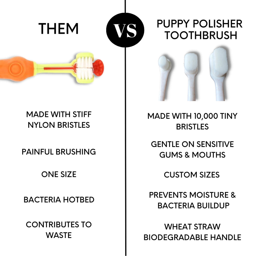 Wag And Bright Puppy Polisher Eco Toothbrush - (Medium)