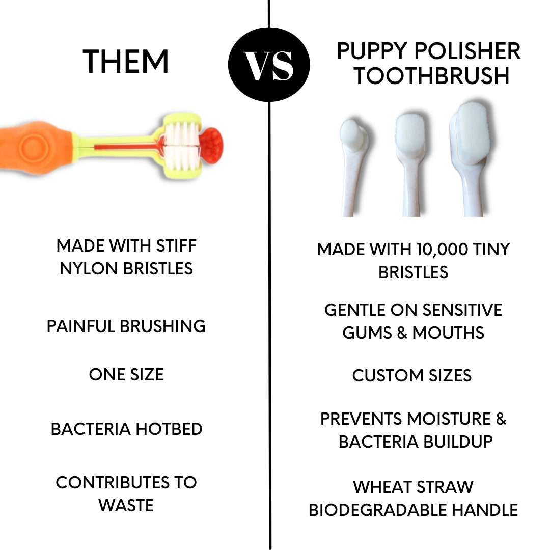 Wag And Bright Puppy Polisher Eco Toothbrush - (Medium)