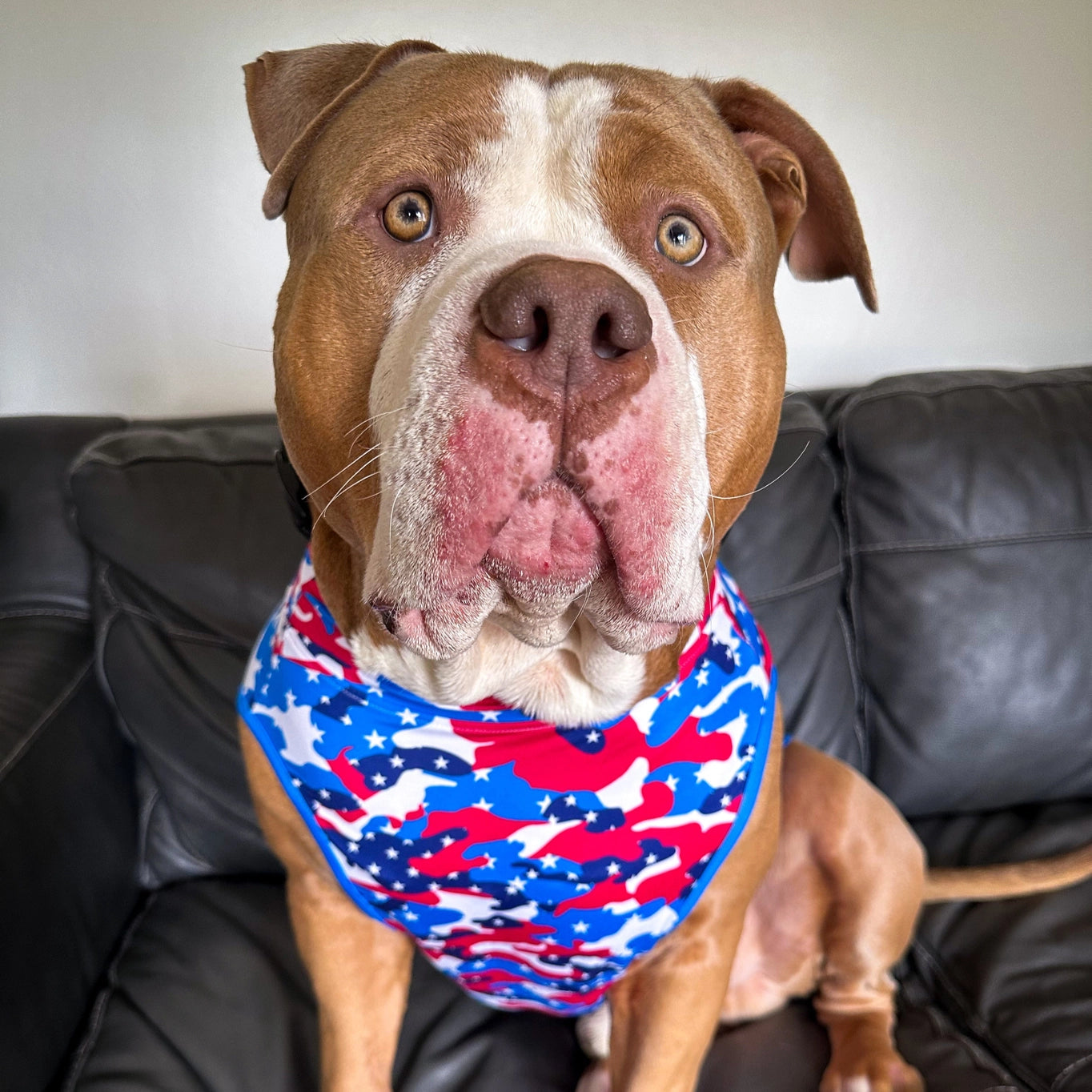 Pittie Clothing Co. Pawtriotic Camo Muscle Tee