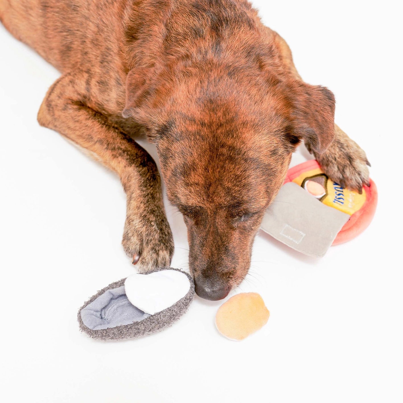 The Furry Folks Tinned Mussel Nosework Toy