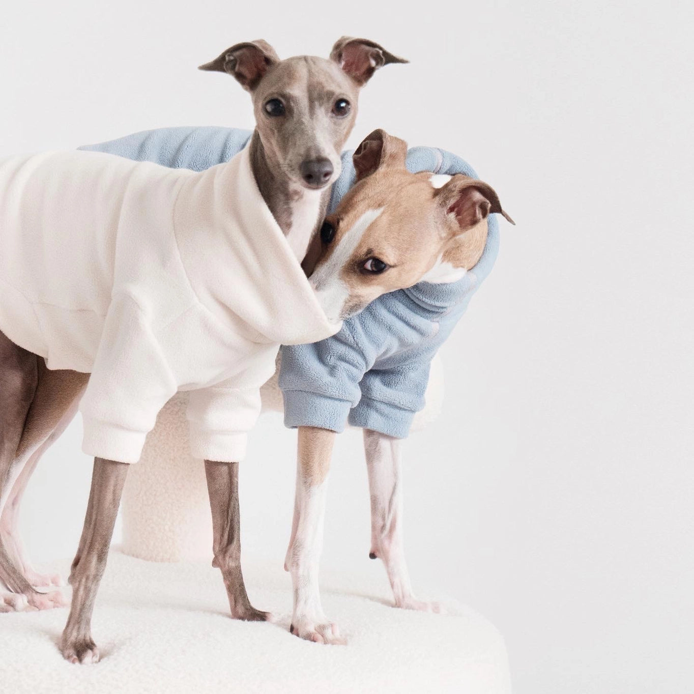 Lambwolf Collective Polar Fleece Sweater