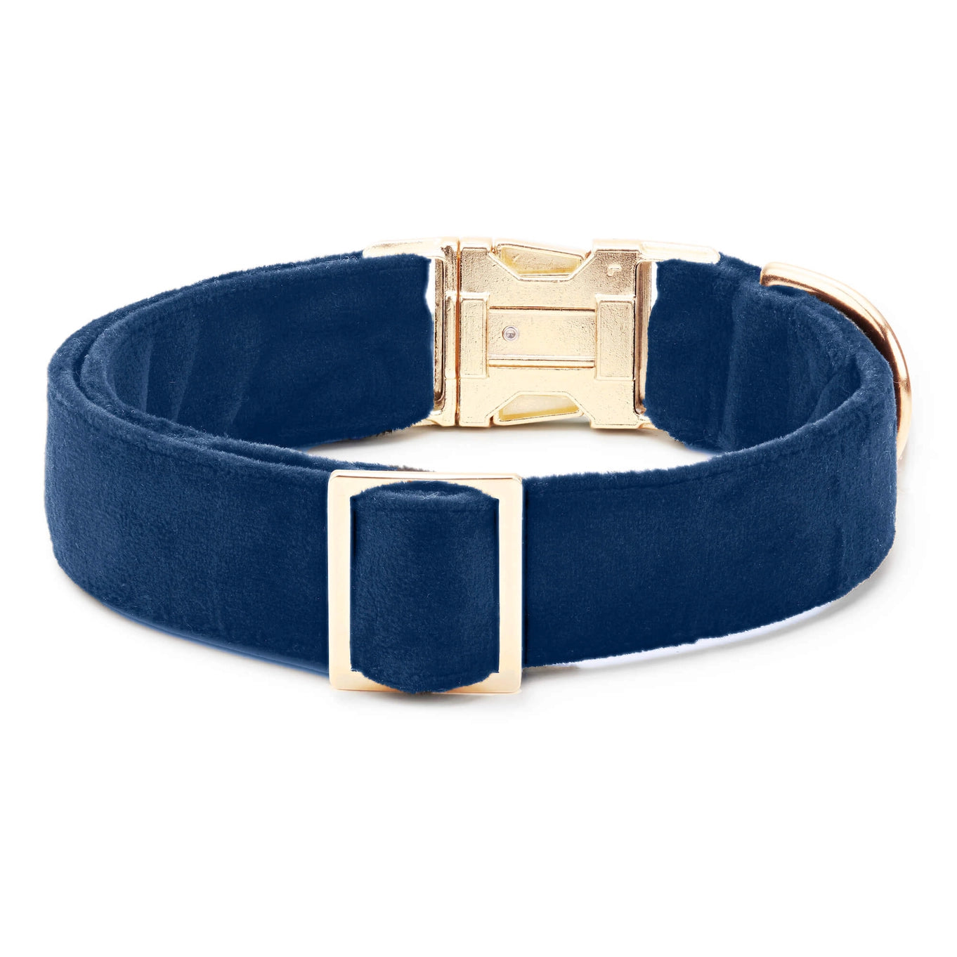 The Foggy Dog Velvet Collar