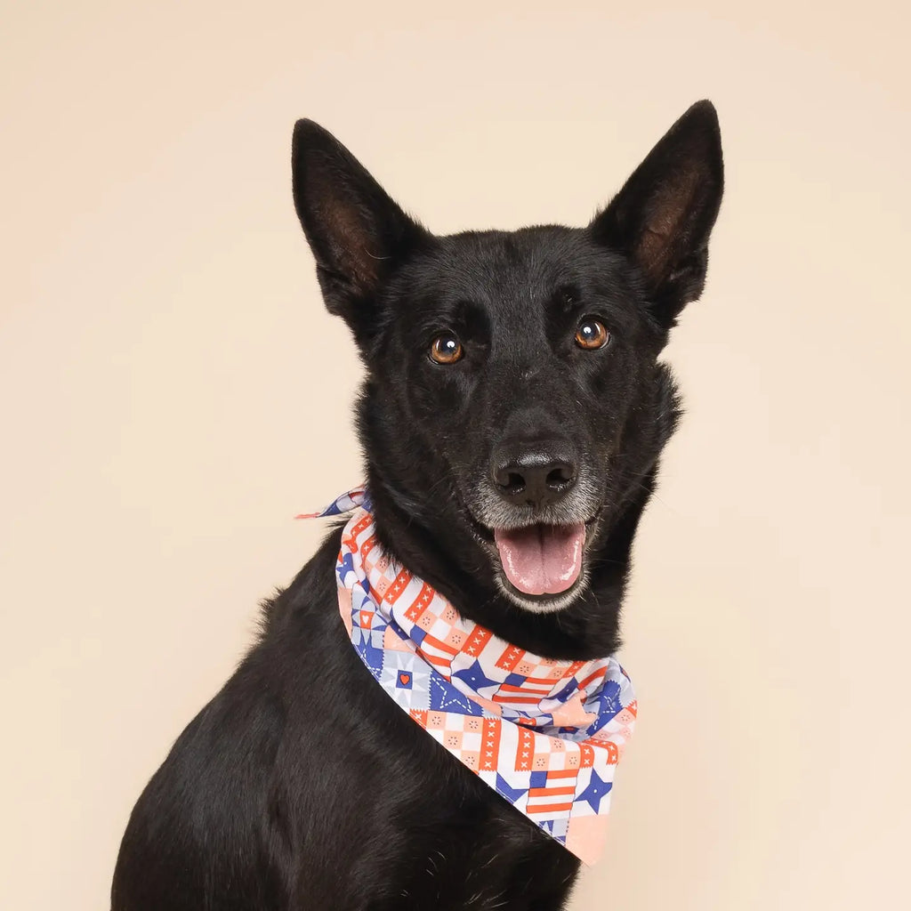 Four Paws Annex Jubilee Dog Bandana