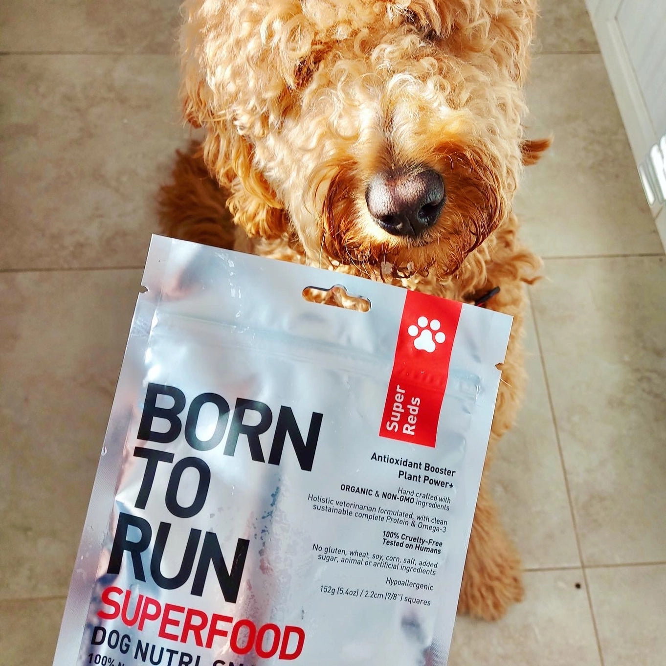 Born To Run Super Reds Antioxidant Booster Treats