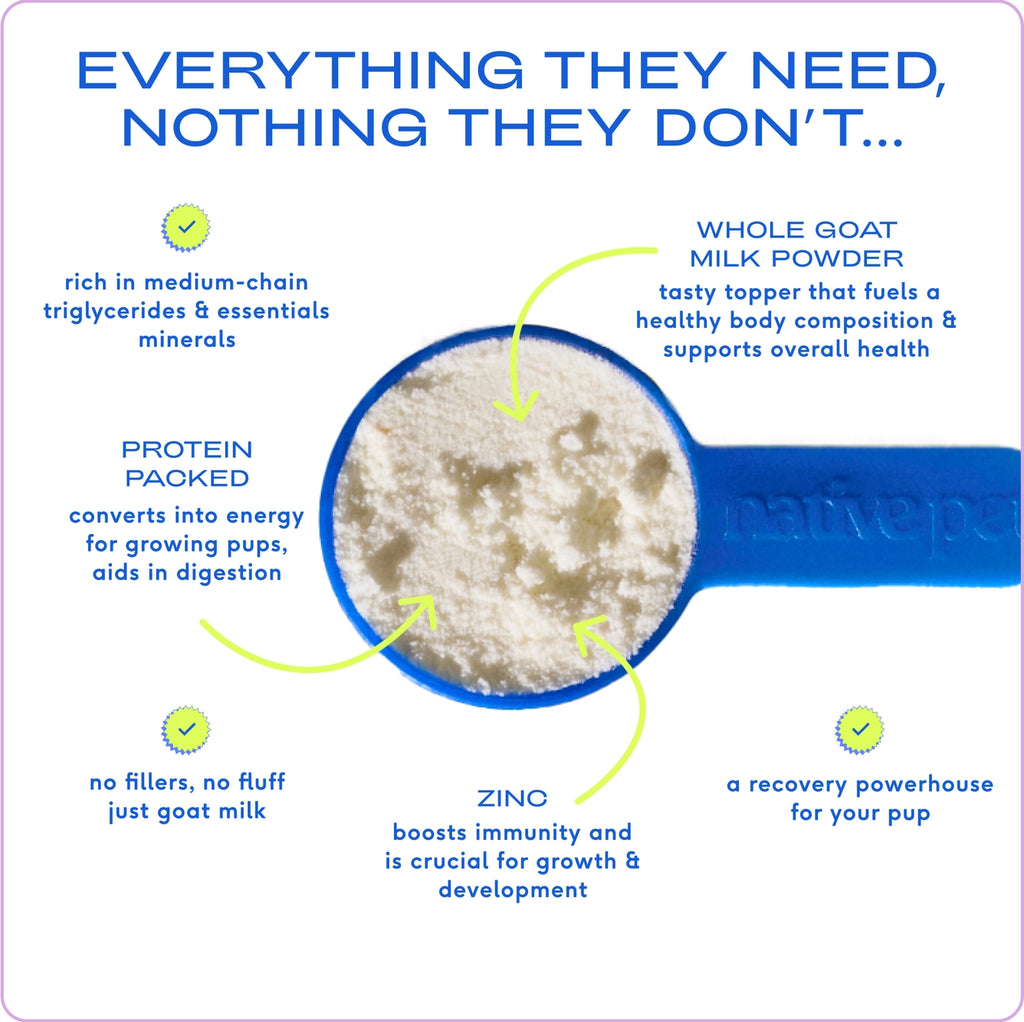 Native Pet Goat Milk Powder Recovery & Energy Support For Active Dogs