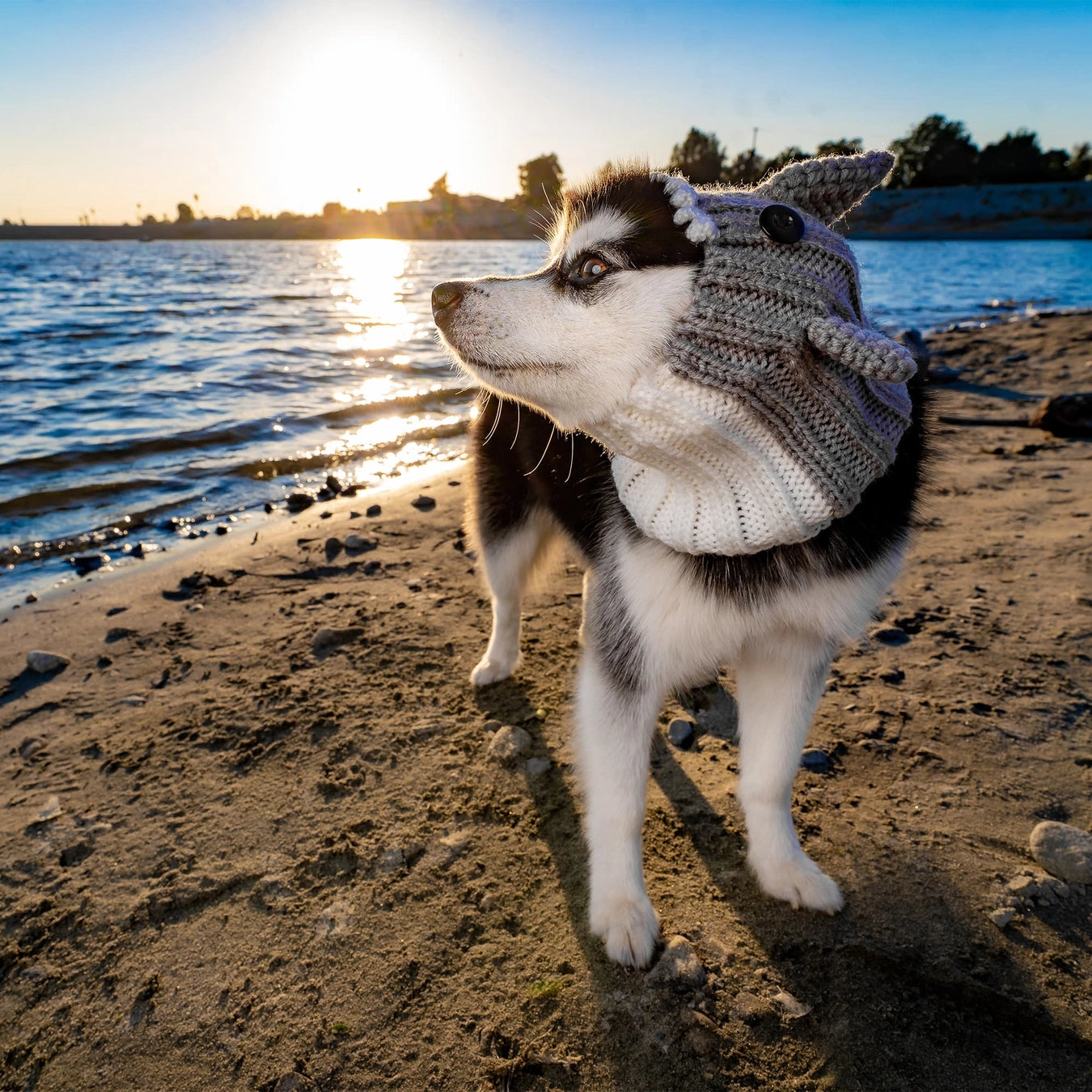 Great White Shark Snood