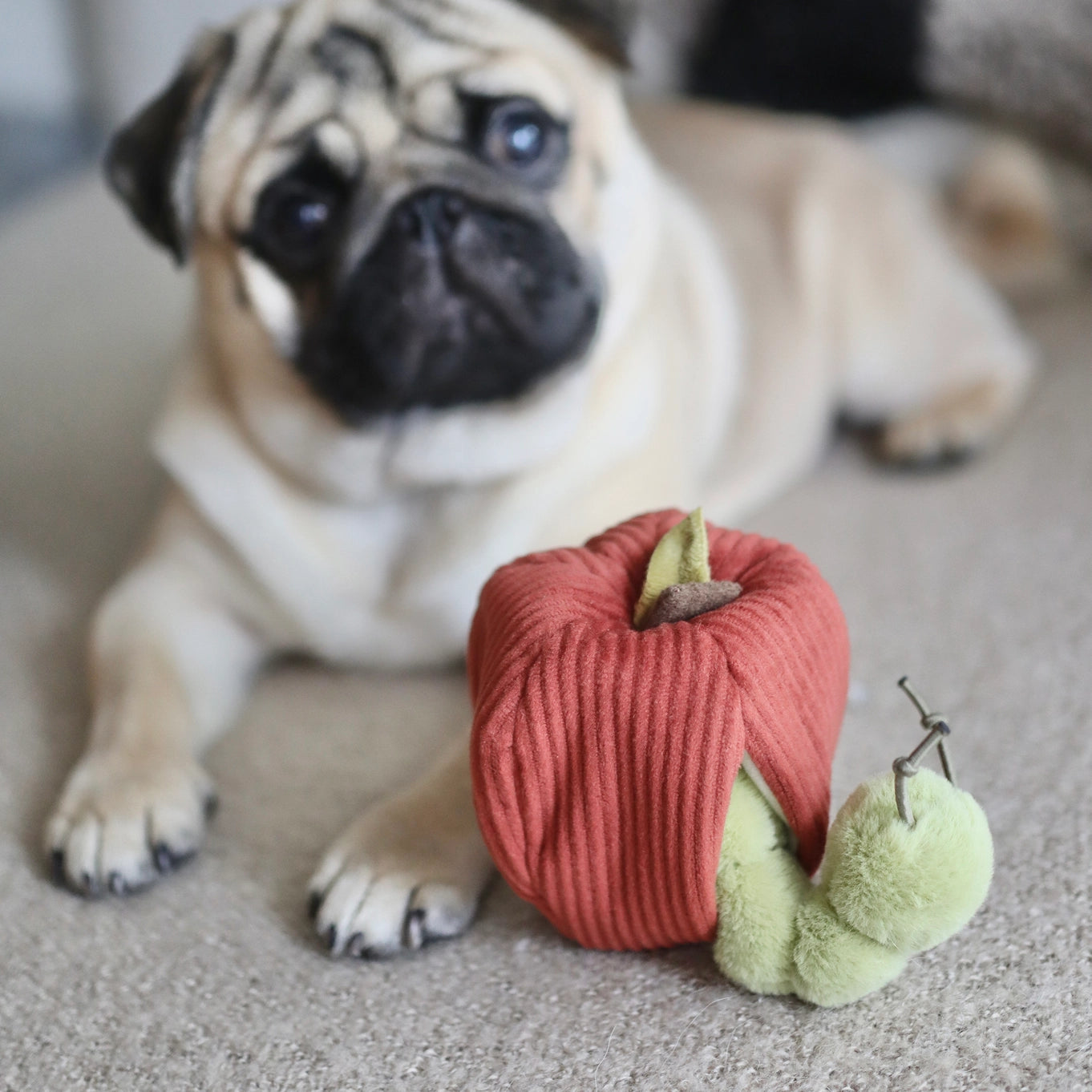 Lambwolf Collective Apple Enrichment Toy Set // Snuffle Toy