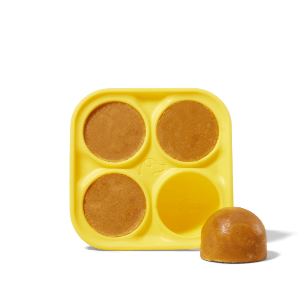 Woof Pupsicle Treat Tray