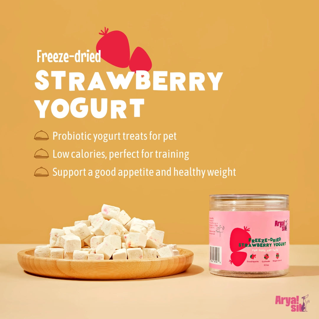 Arya Sit! Freeze Dried Strawberry Yogurt