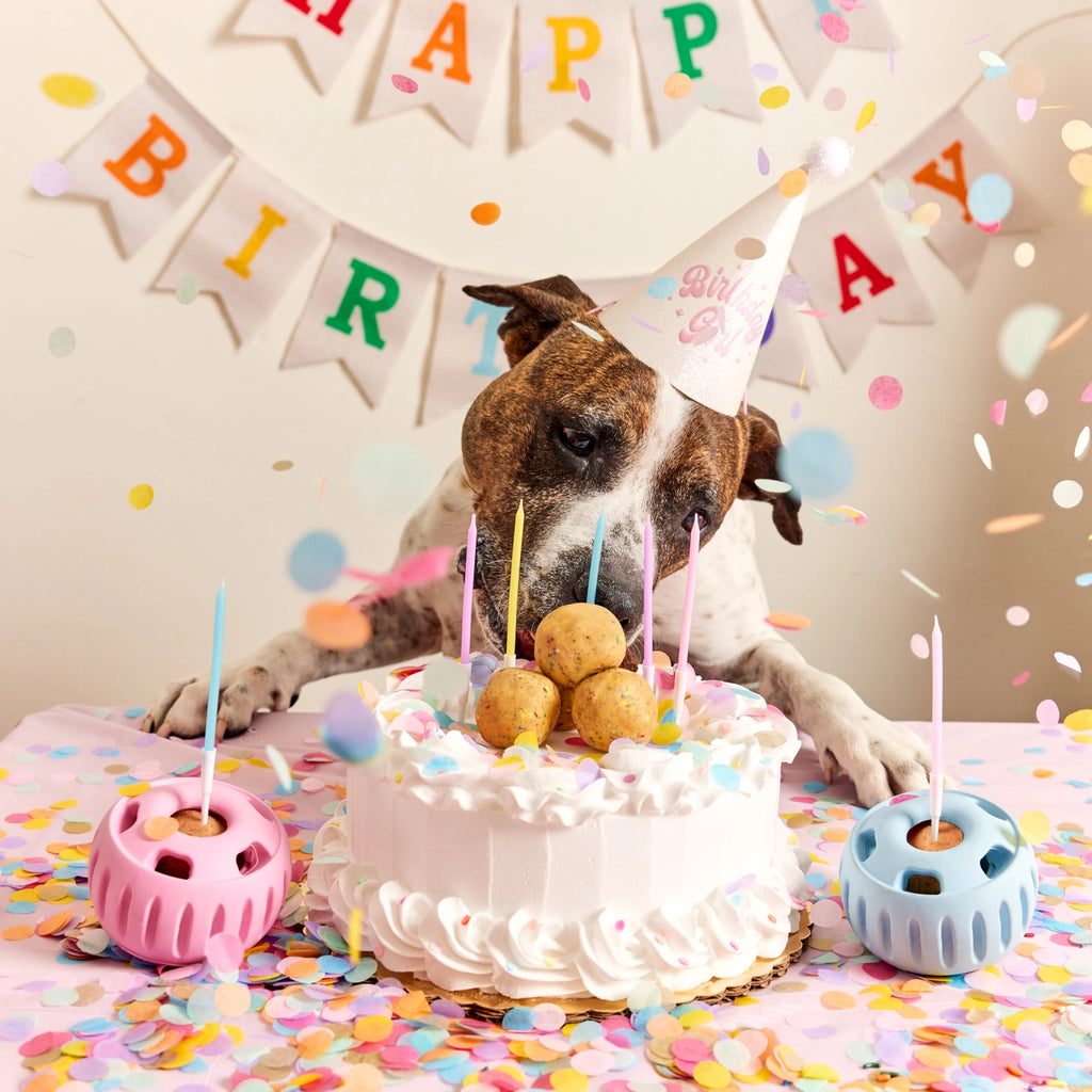 Woof Party Pupsicle