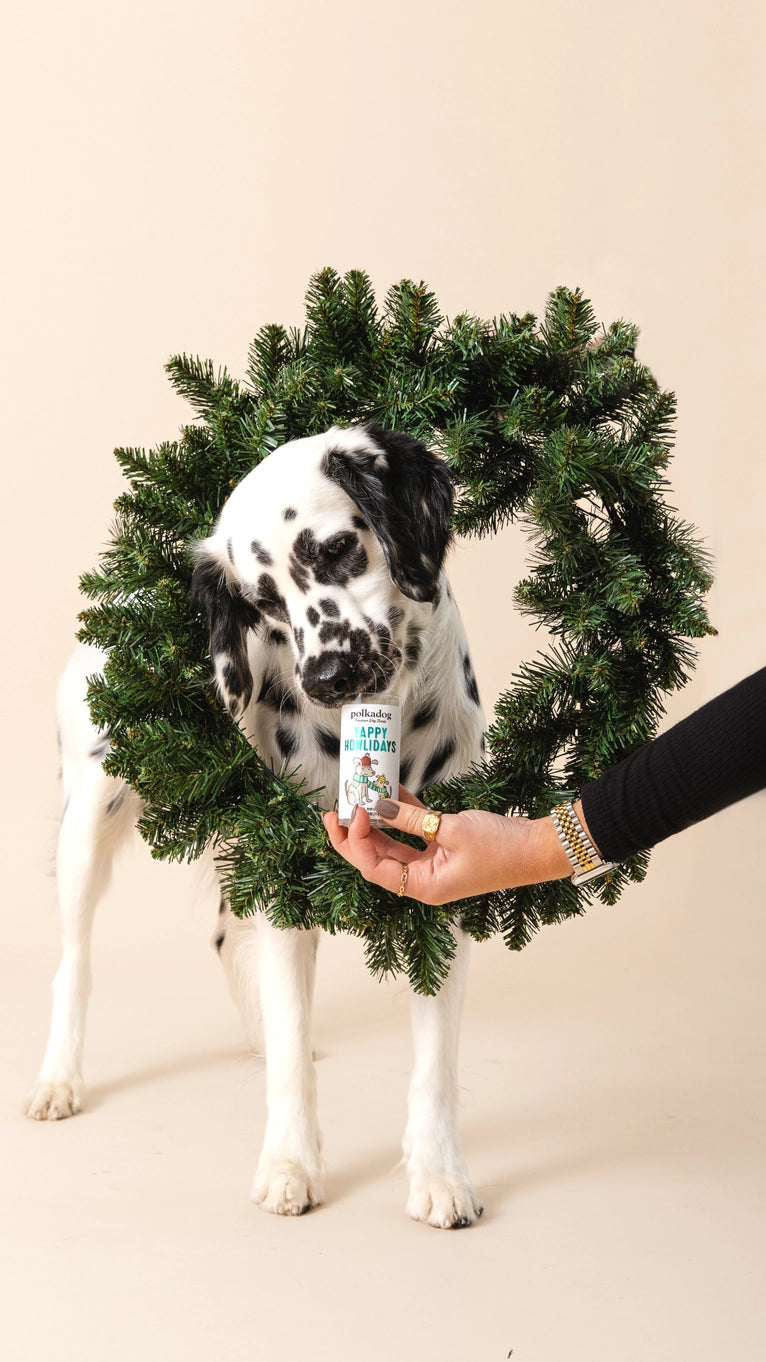 Dog wearing a festive wreath with a person holding a product in front of it on a beige background