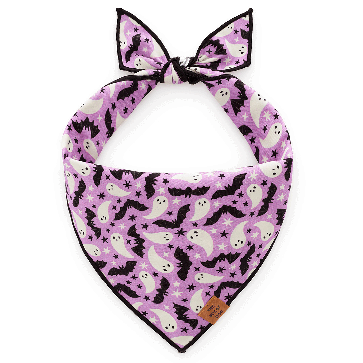 The Foggy Dog Spooky Season Reversible Dog Bandana