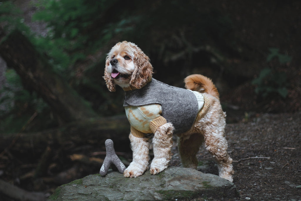 Wooliie Merino Wool Plain Knit Dog Sweater