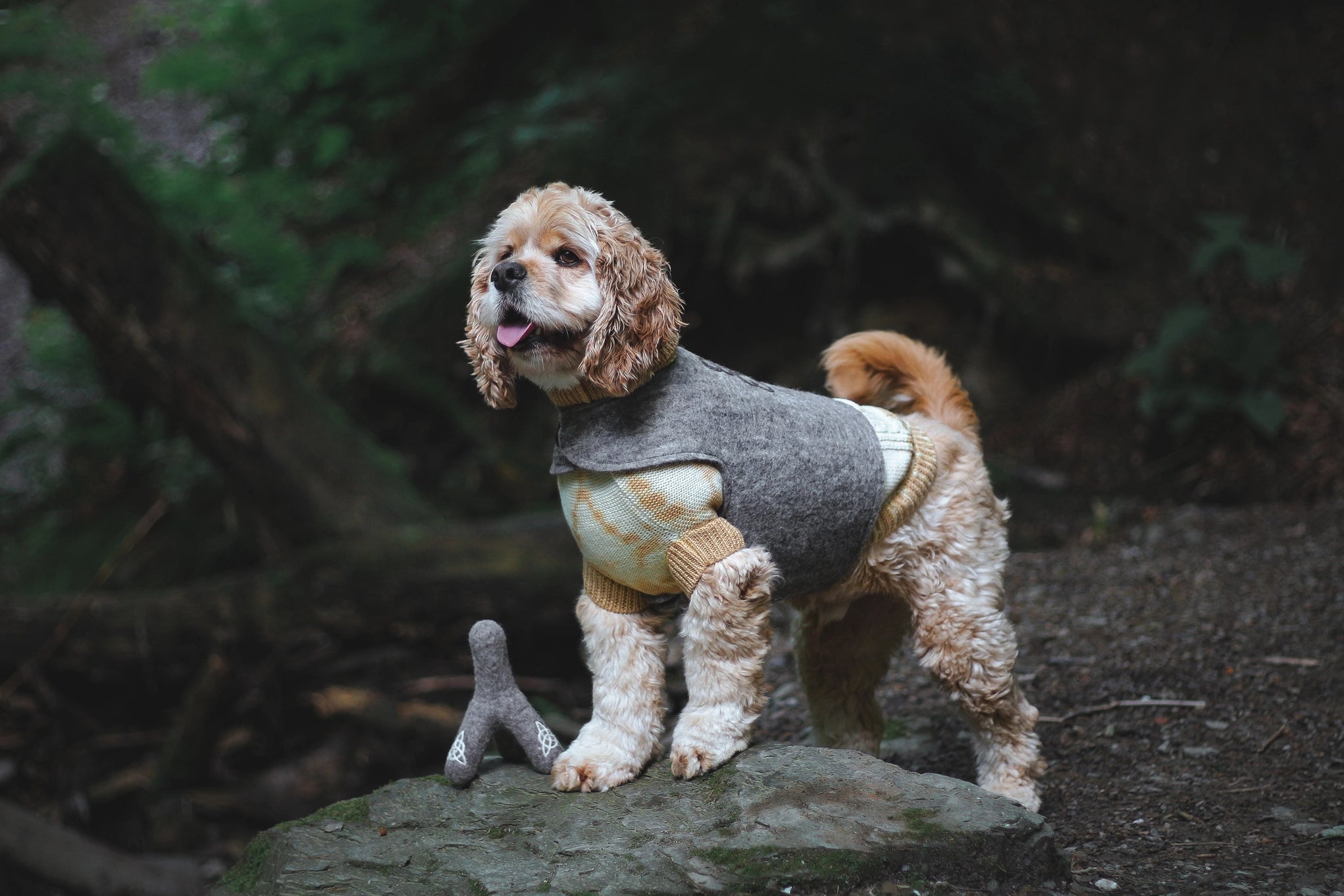 Wooliie Merino Wool Plain Knit Dog Sweater