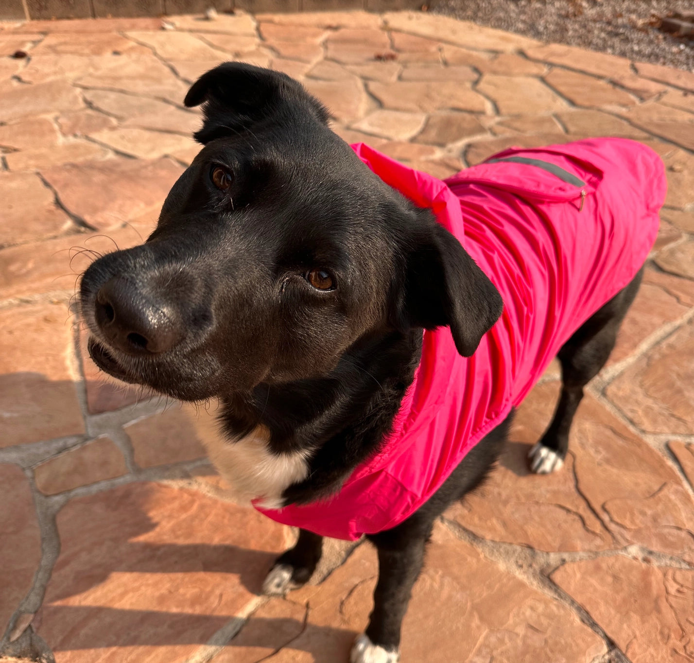 Packable Raincoat