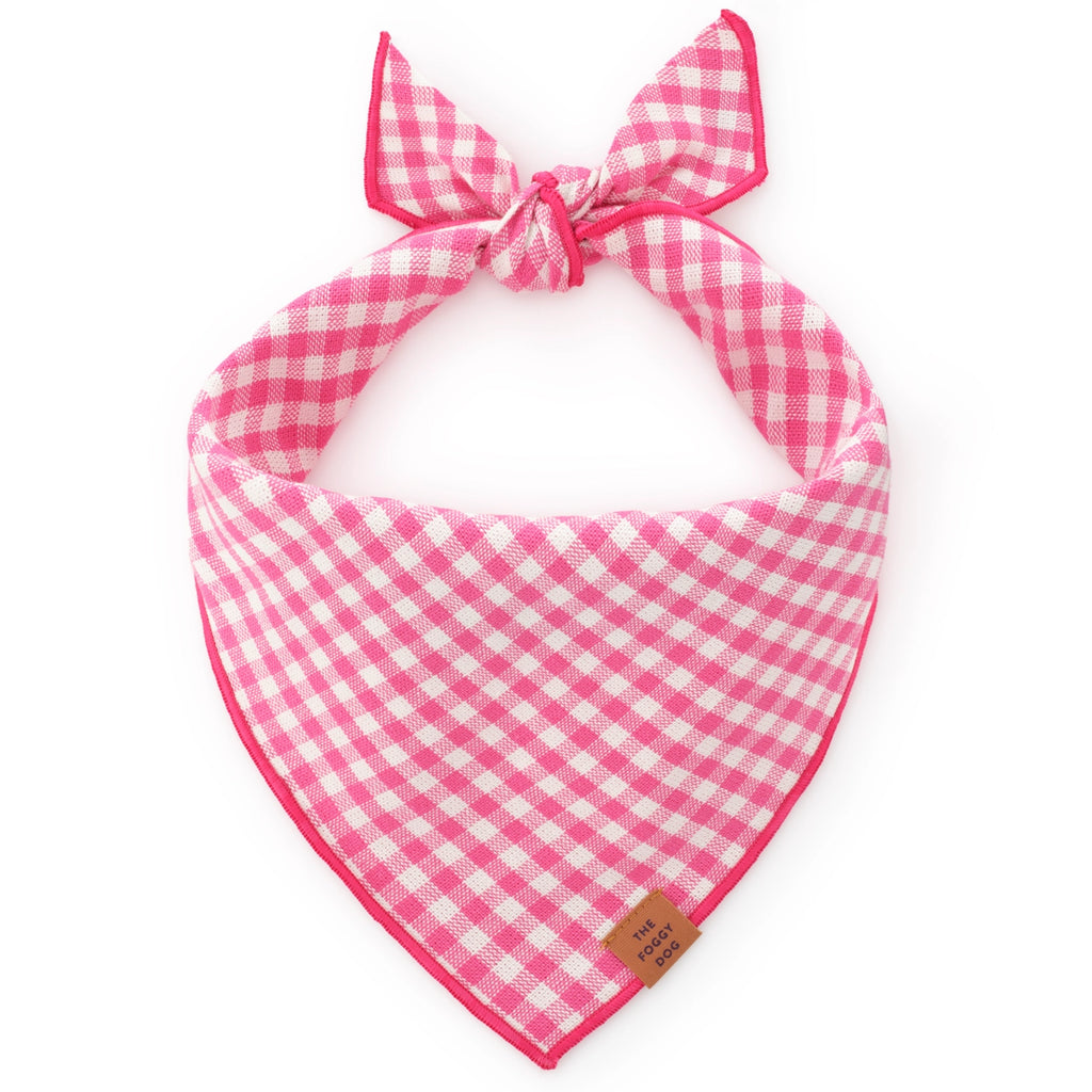 The Foggy Dog Hot Pink Gingham Dog Banana