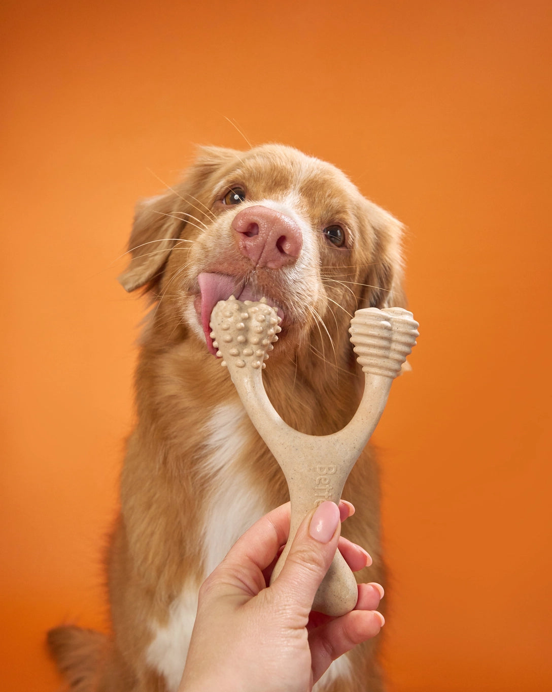 Betterbone