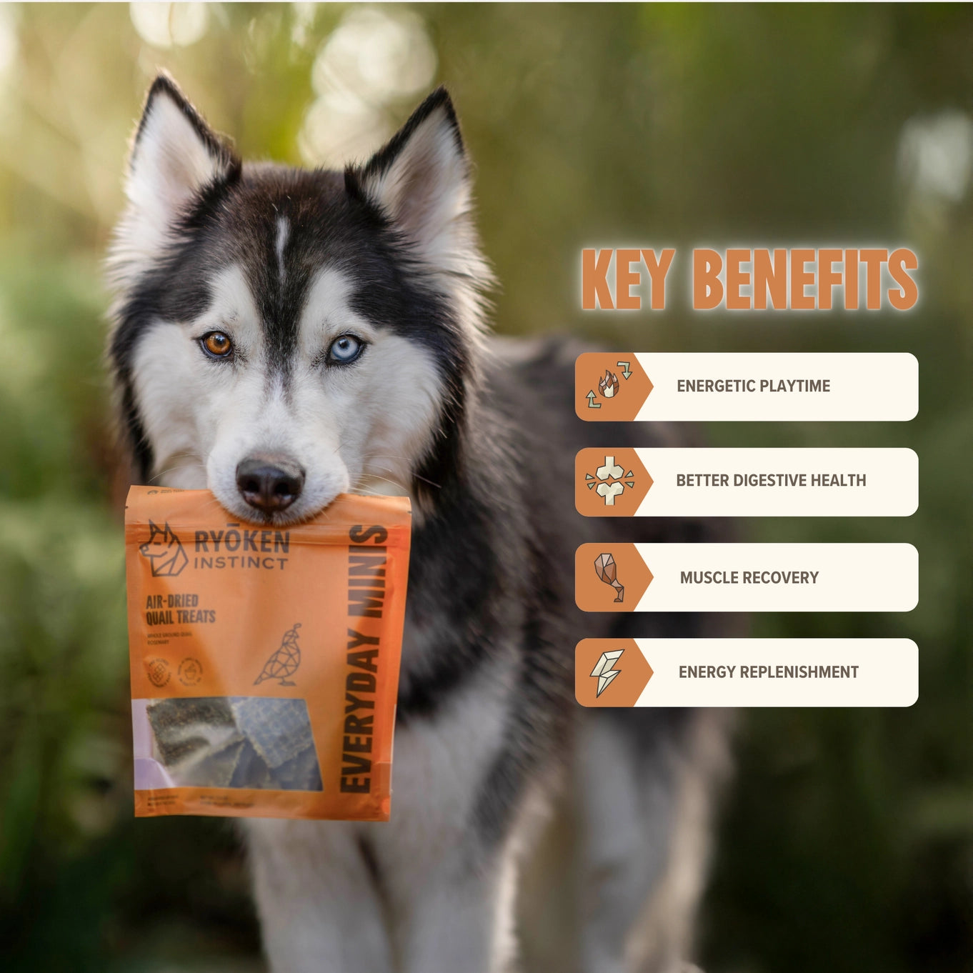 Ryōken Instinct Quail Mini Training Treats For Dogs