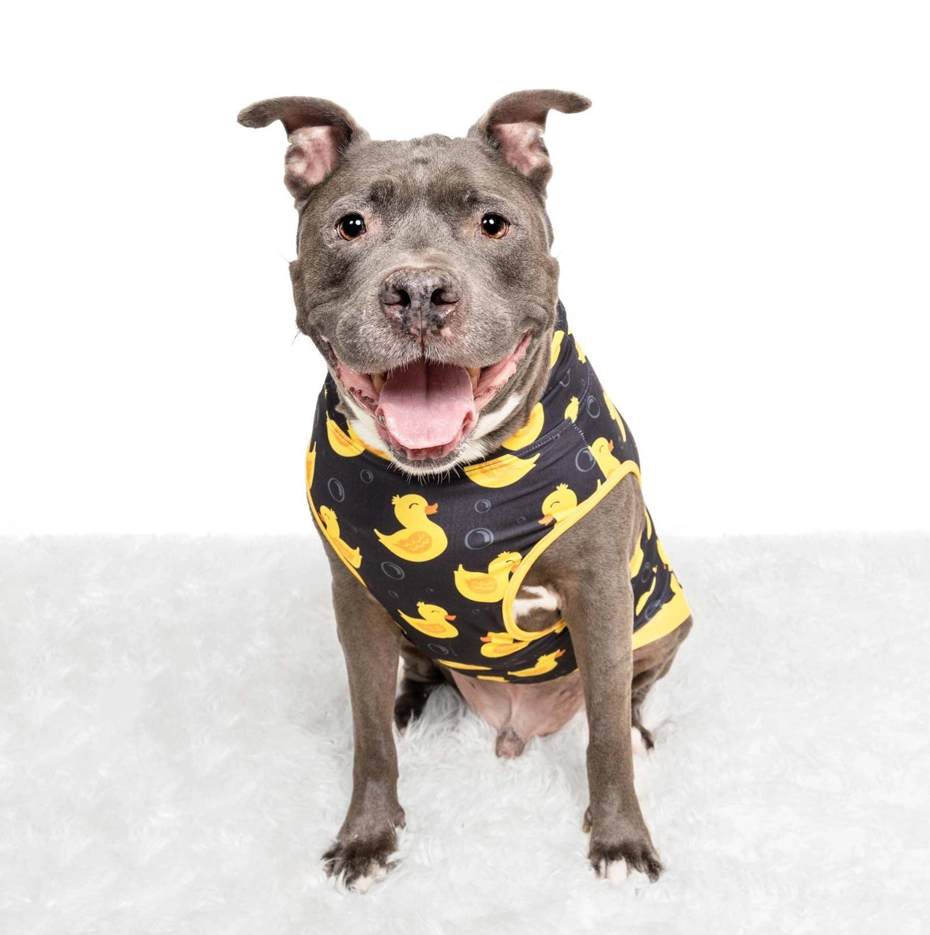 Pittie Clothing Co. So Duckin' Cute Muscle Tee