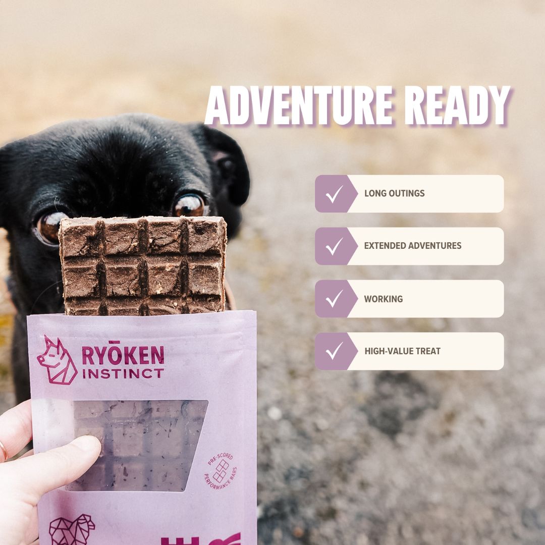 Ryōken Instinct Lamb Treat & Snack Bar For Active Dogs - Energy & Recovery