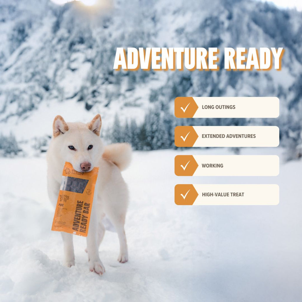 Ryōken Instinct Pork Treat & Snack Bar For Active Dogs - Energy & Recovery