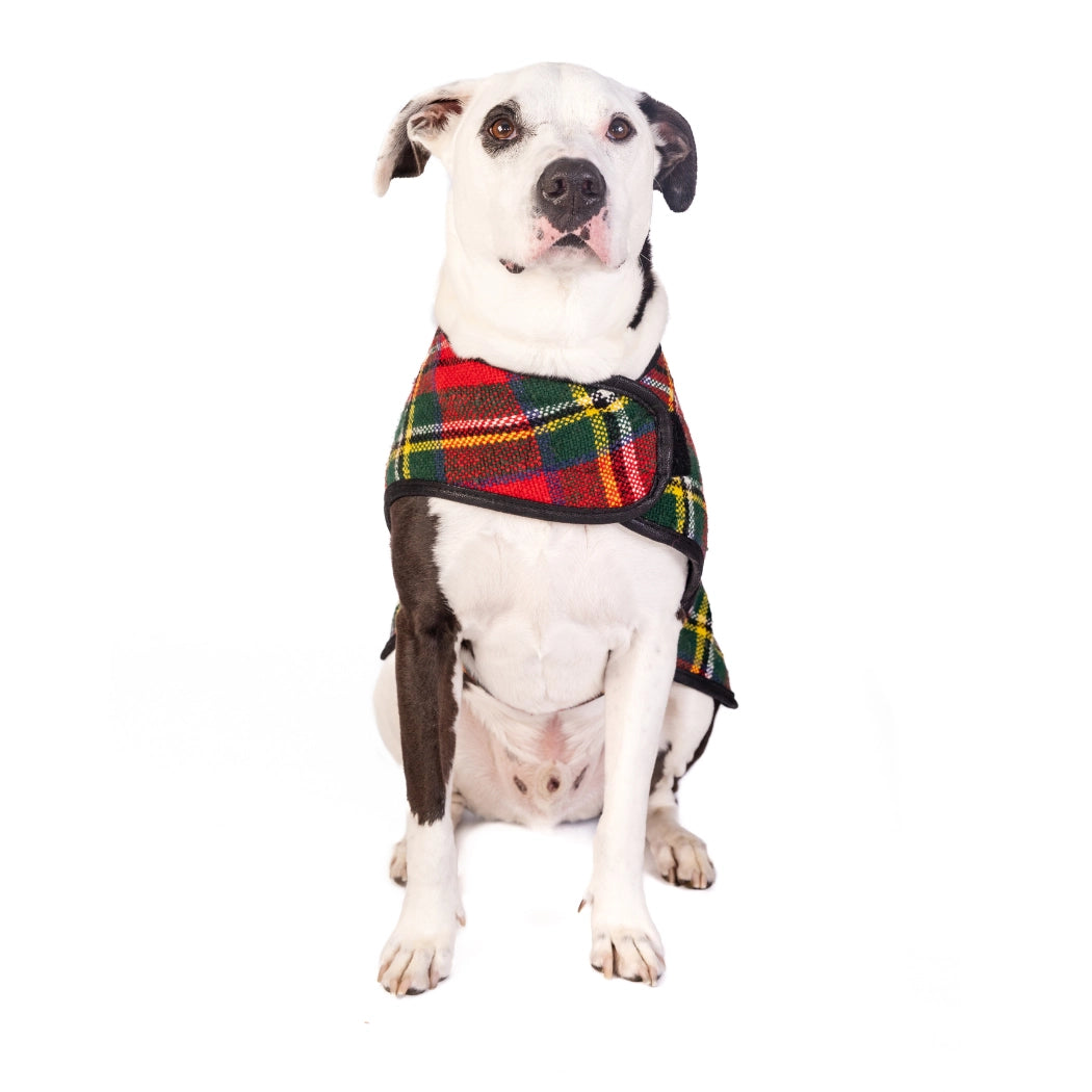 Chilly Dog Scotty Plaid Dog Blanket Coat