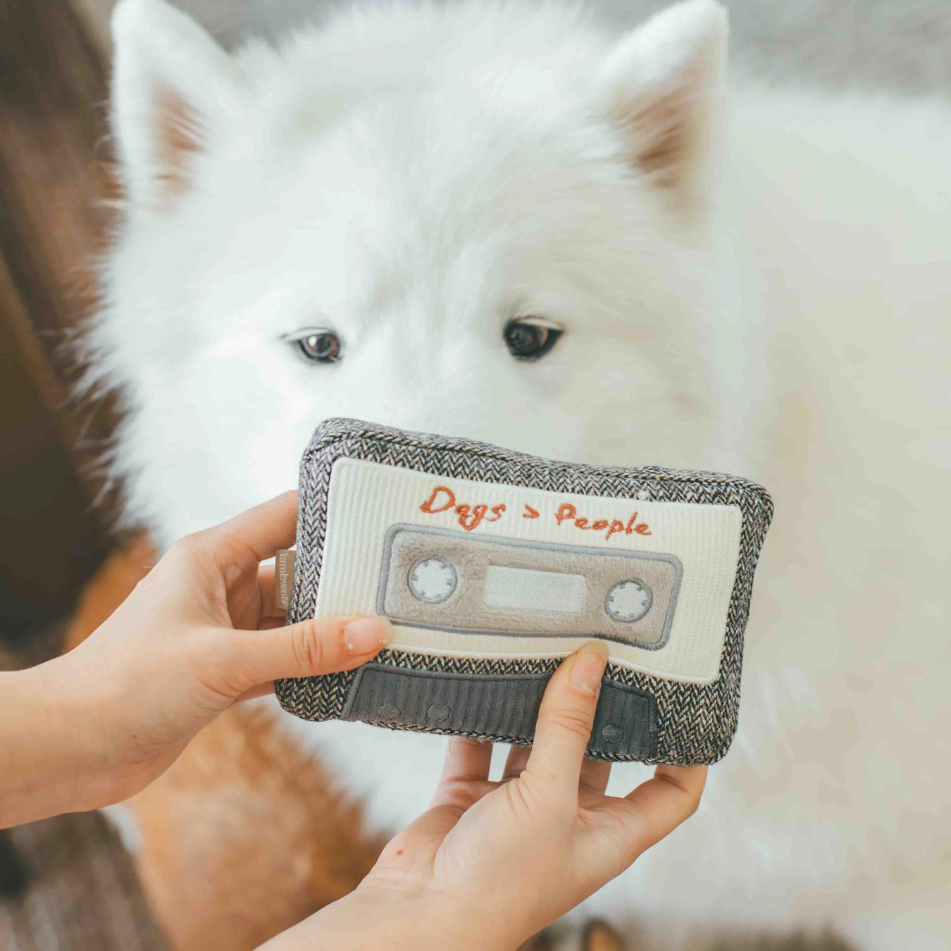 Lambwolf Collective - Cassette Enrichment Dog Toy