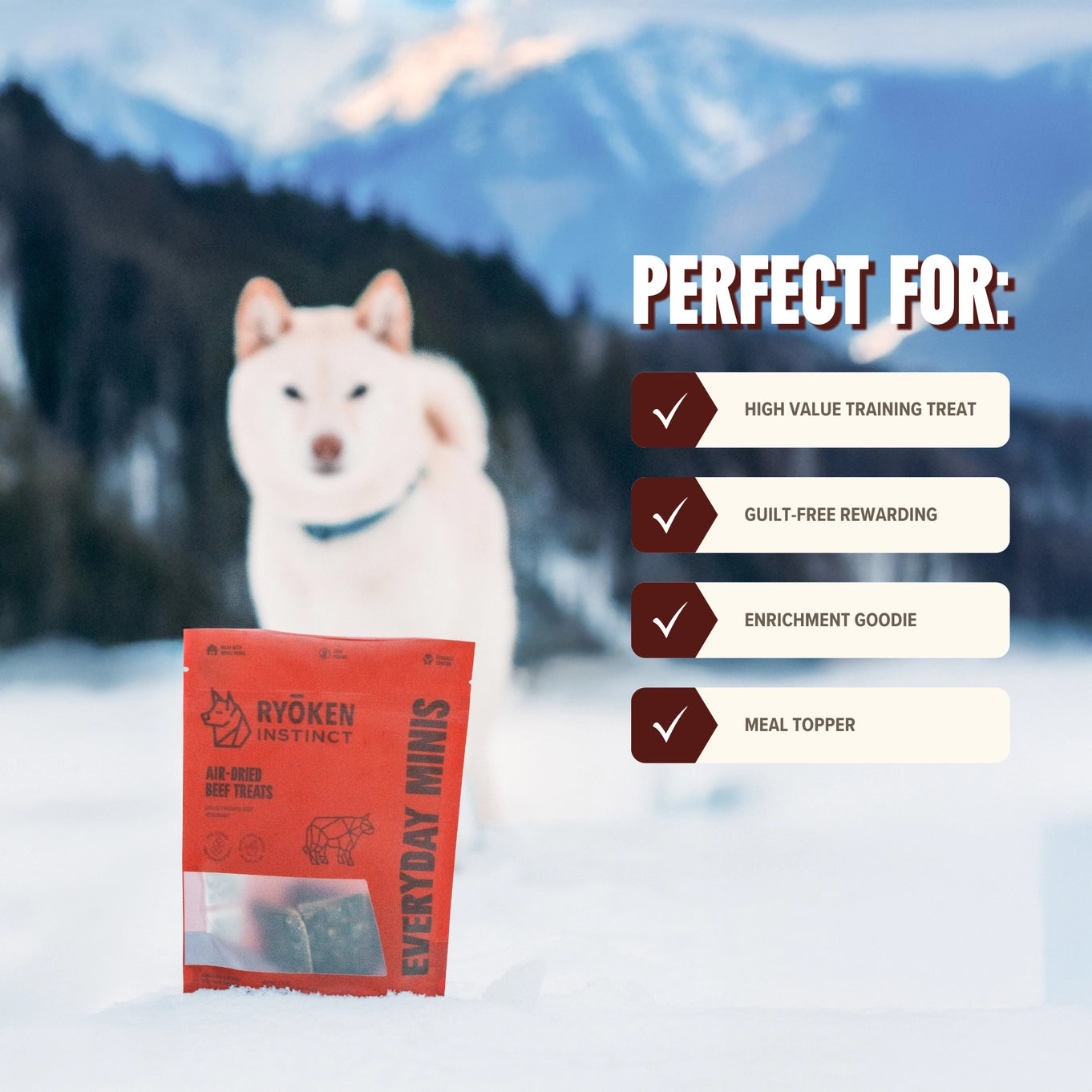 Ryōken Instinct Beef Mini Training Treats For Dogs