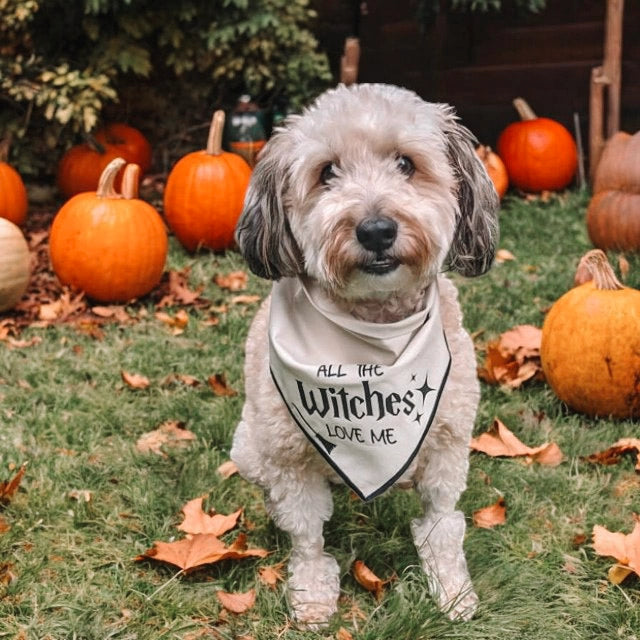 Boneyard Co "All the Witches" Dog Bandana