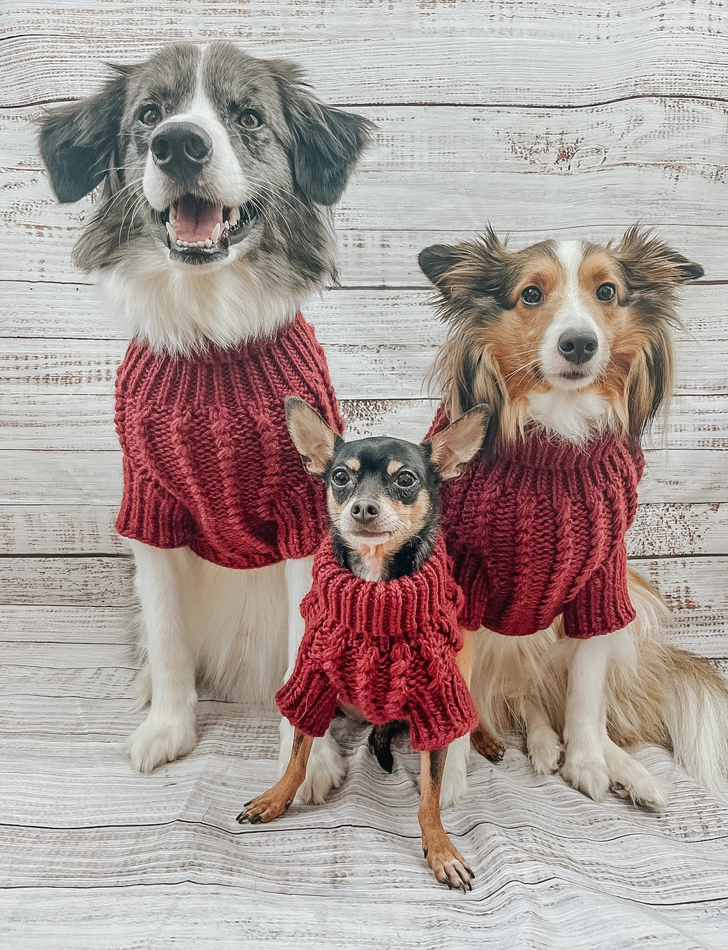 Sassy Woof Dog Cable Knit Sweater