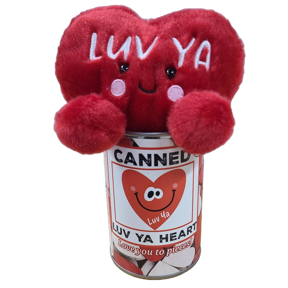 Canned Be Mine Candy Heart