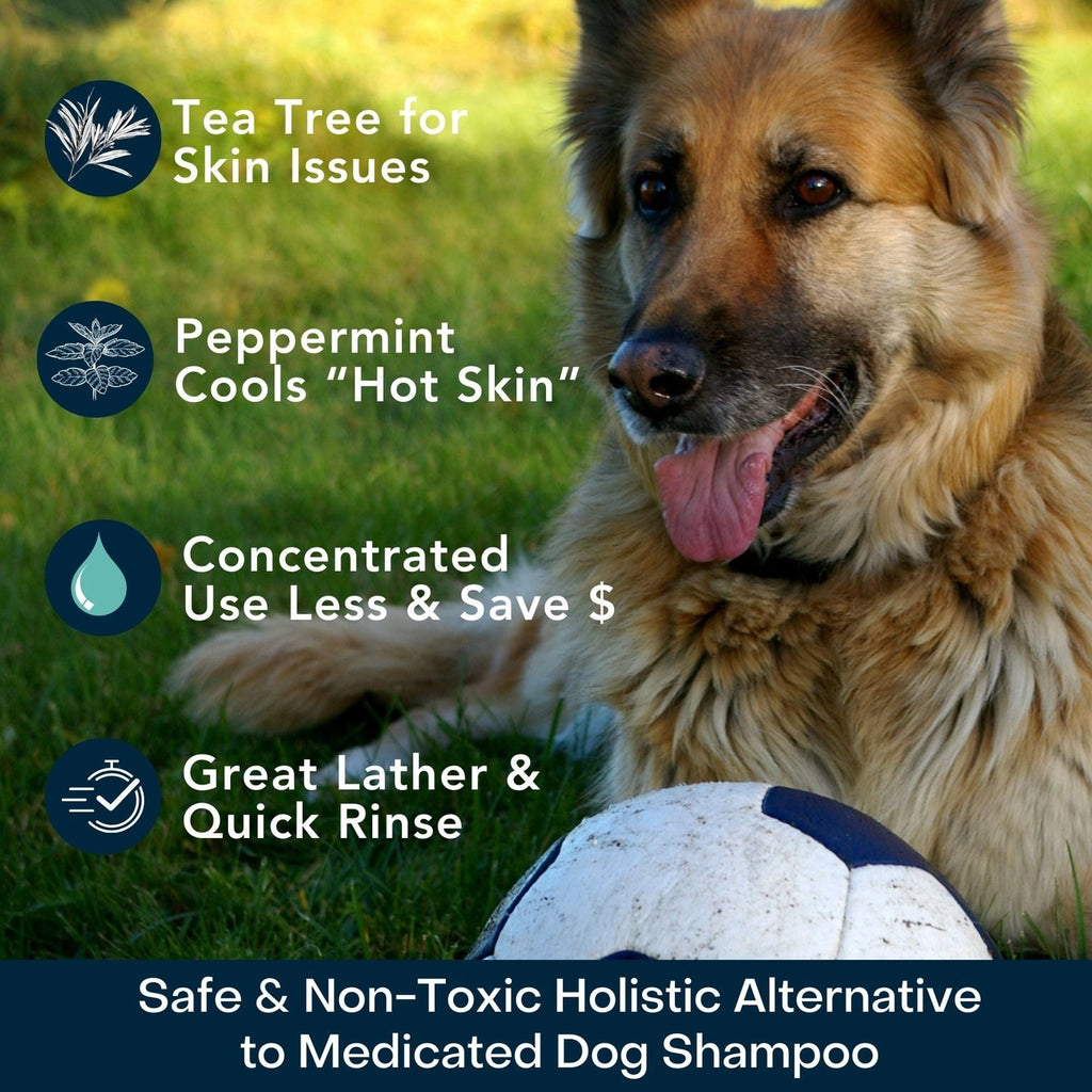 4-Legger Cooling Organic Tea Tree Oil Dog Shampoo For Itchy Skin