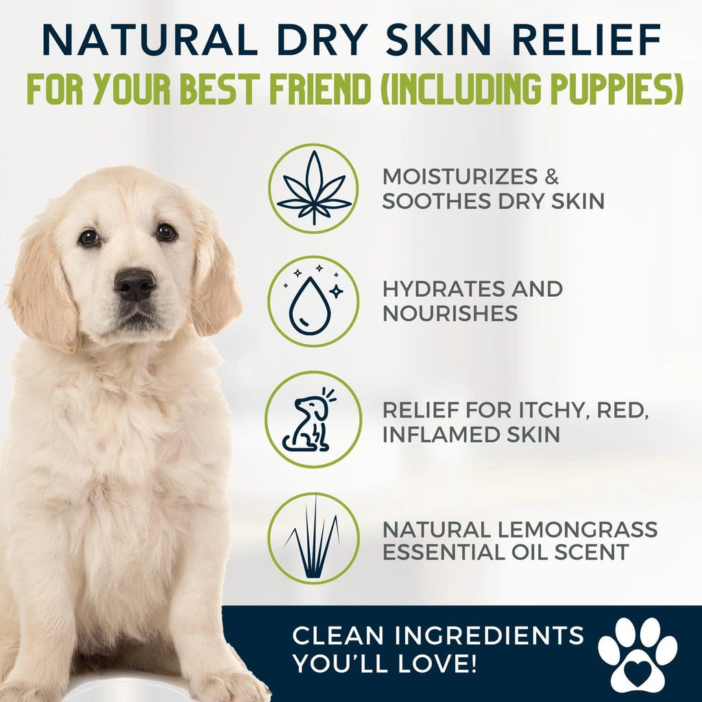 4-Legger Moisturize Organic Hemp Dog Shampoo with Lemongrass