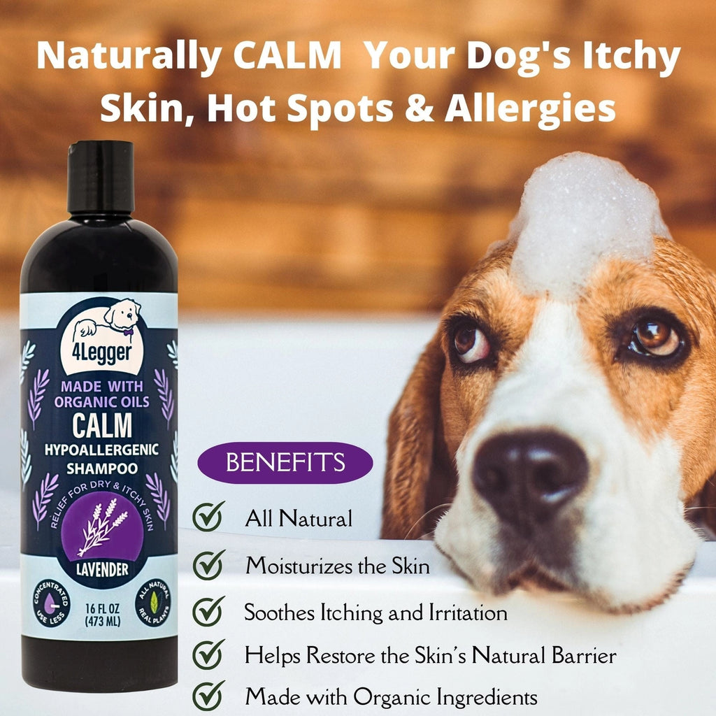 4-Legger Calm Organic Lavender Natural Dog Shampoo with Calendula